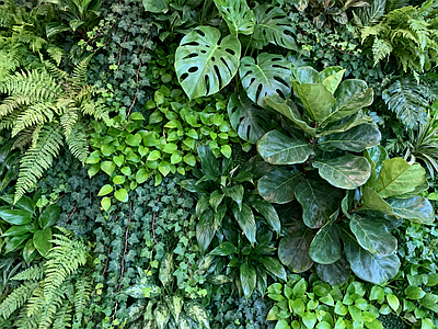 现代绿植墙 垂直绿化墙 植物墙 绿植背景墙 仿真植物 装饰墙面