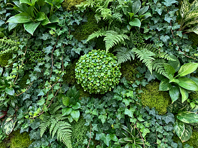 现代绿植墙 垂直绿化墙 植物墙 绿植背景墙 仿真植物 装饰墙面