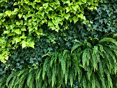 现代绿植墙 垂直绿化墙 植物墙 绿植背景墙 仿真植物 装饰墙面