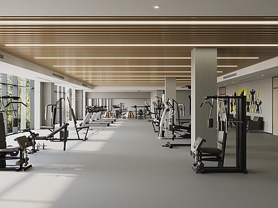 现代健身房 健身房 健身区