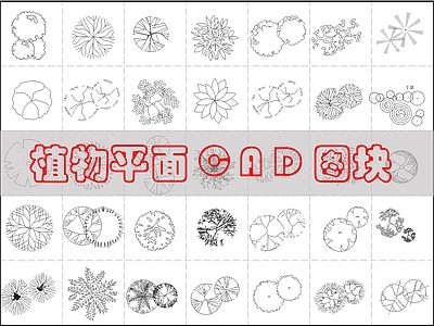现代综合植物图库 现代综合植物图库 施工图