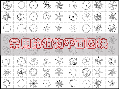 现代综合植物图库 现代综合植物图库 施工图