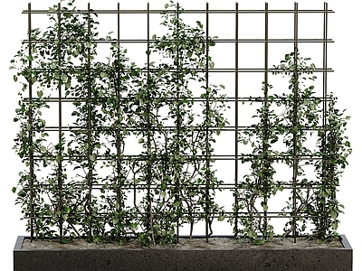 绿植墙 现代藤蔓爬墙虎植