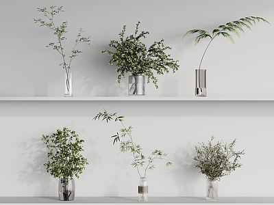 盆景 绿植摆件 绿植 花卉 植物