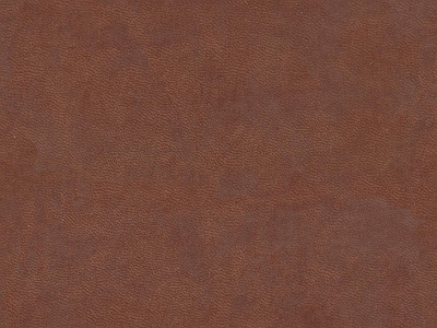 现代粗纹皮革 棕色粗纹皮革