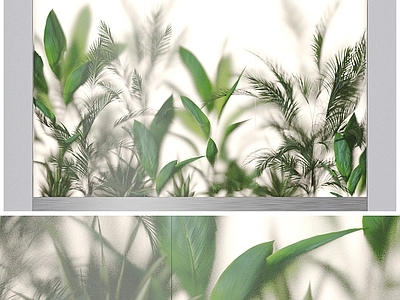 绿植墙 植物墙 绿植墙 植物箱