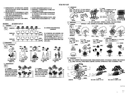 现代设计说明 绿化设计说明 施工图