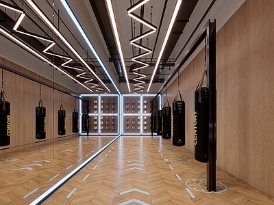 现代健身房 现代健身锻炼中心