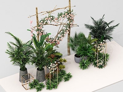 植物堆 盆栽盆景组合 绿植 植物堆 现代绿植盆栽