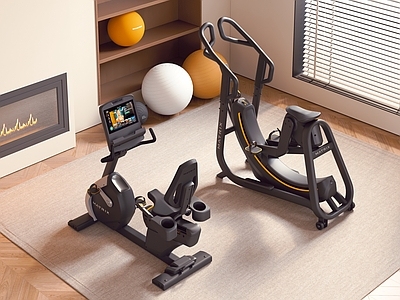运动器材 健身器材 动感单车 椭圆机 瑜伽球