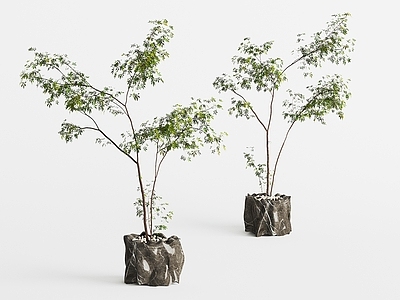 盆栽 现代绿植盆栽 盆景 绿植摆件 景观绿植