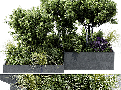 景观树 现代植物 景观绿植 绿植池 花坛