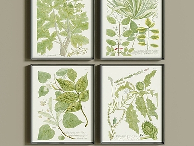 北欧挂画 植物挂画