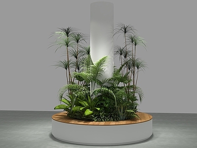 植物堆 绿植组合 植物造景