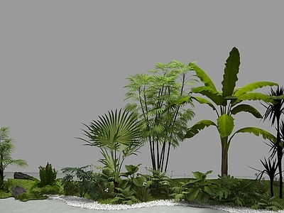 植物堆 植物组合苔藓