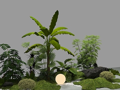 植物堆 绿植造景苔藓