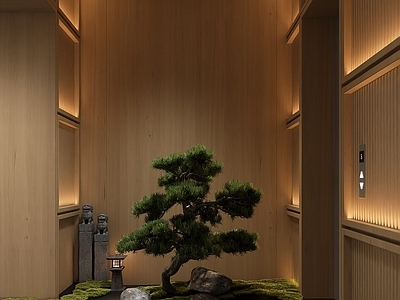 其他绿植 走廊植物造景