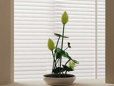 新中式花艺 新中式花艺 荷花