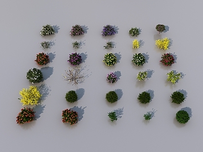 植物堆 常用灌木