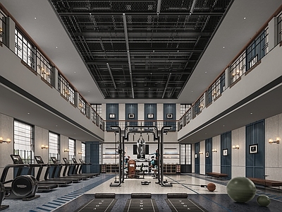 现代健身房 健身房 健身器械 瑜伽 跑步机 瑜伽球