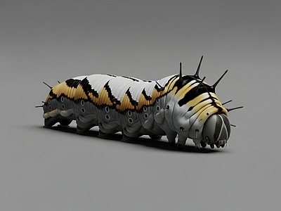 其他动物 毛毛虫 虫子 昆虫 写实