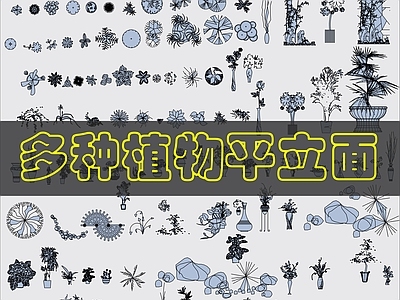 现代综合植物图库 植物平立面图库 施工图