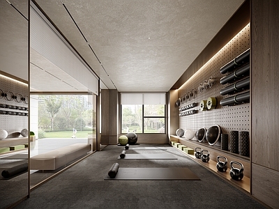 现代瑜伽室 瑜伽 瑜伽室 瑜伽垫 瑜伽器械 瑜伽球