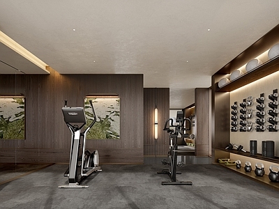 现代健身房 动感单车 踏步机 健身器械 哑铃