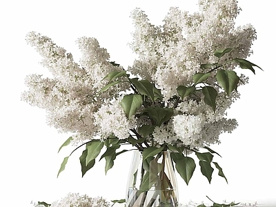 花 花瓶花卉
