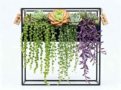 现代绿植墙 多肉植物 垂直绿化墙 室内园艺墙 植物墙 仿真绿植