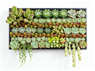 现代绿植墙 多肉植物 垂直绿化墙 室内园艺墙 植物墙 仿真绿植