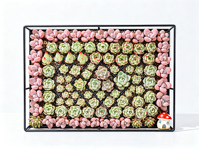 现代绿植墙 多肉植物 垂直绿化墙 室内园艺墙 植物墙 仿真绿植