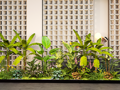 植物组合 现代室内景观造景 庭院景观小品 植物组合 绿植堆