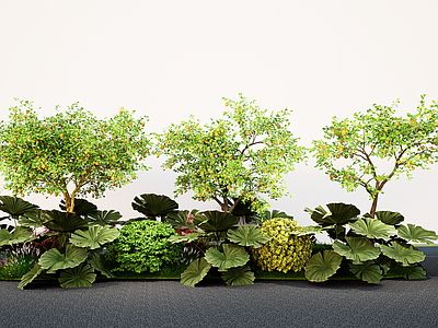 植物组合 现代植物组团 花境绿植组合