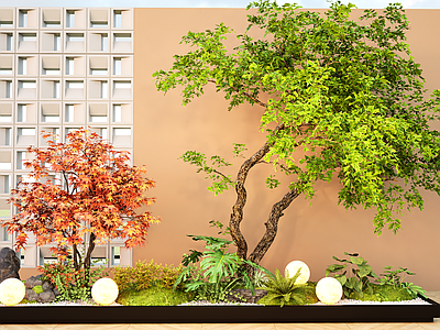 植物组合 造型树植物 绿植盆栽景观造景 灌木小品