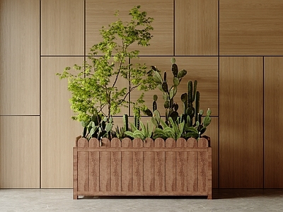 植物堆 花箱 盆栽 花坛