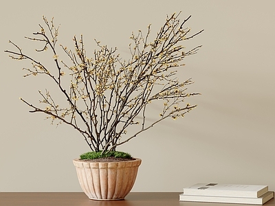 中古侘寂花艺 花瓶 玄关摆件 饰品