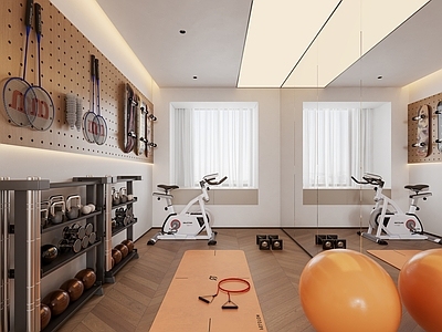 现代健身房 现代健身房 健身器材 洞洞板