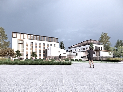 新中式现代其他公共建筑 现代中式办公建筑 现代中式养老公寓 老年服务中心 老年大学 配套商业办公