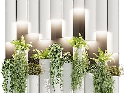 绿植墙 绿植墙 植物墙