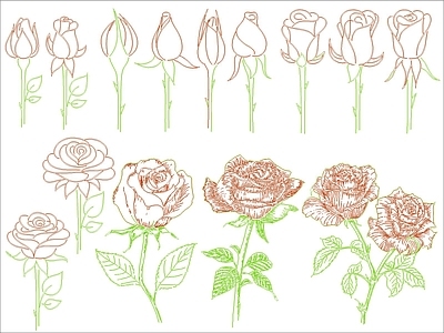 现代花 玫瑰花 施工图