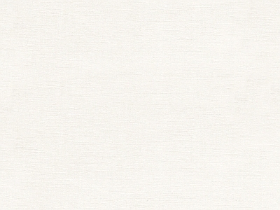 现代其它布纹 布纹 白色布纹