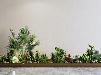 植物组合 绿植组和