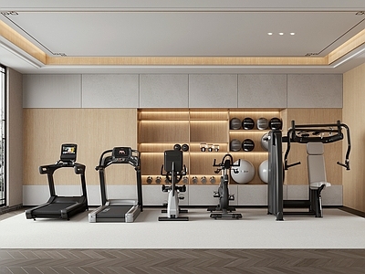 现代健身器材 健身器材 跑步机