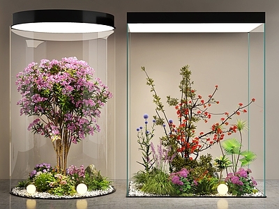 现代室内景观 室仙景观 玻璃景观造景 景观树 庭院景观 花草组合