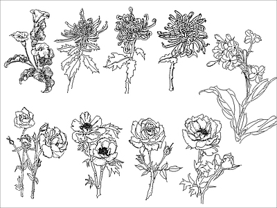 现代花 各种花朵 施工图