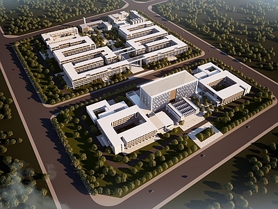 现代学校建筑 现代大学校园 院落式布局 大气行政楼 轴线空间 学校规划