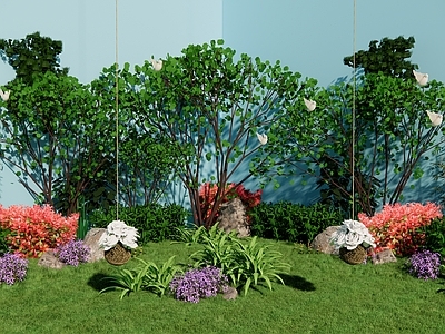 植物组合 绿植小品 植物