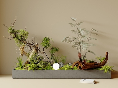 植物堆 室内景观 盆栽