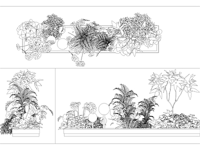 灌木种植 庭院景观植物造景 施工图